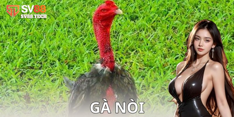 Đặc điểm nhận diện gà nòi