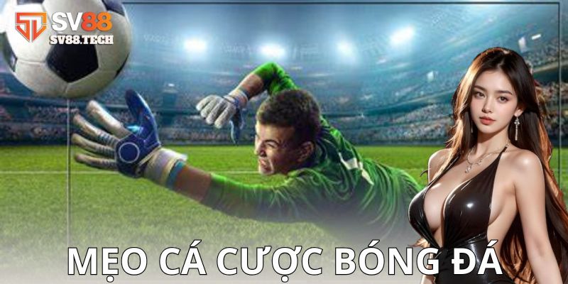 Phân tích trận đấu và đội hình