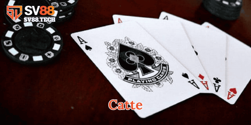 Catte có cách chơi ra sao?